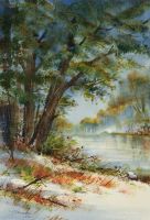 15- La batture riveraine